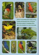 Breeding American Songbirds