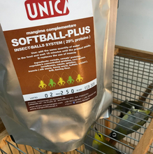 Softball-Plus