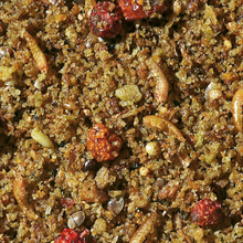 Orlux Uni Patee Softbill Food