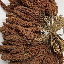 Red Millet Sprays [French]