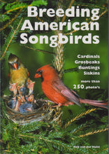 Breeding American Songbirds