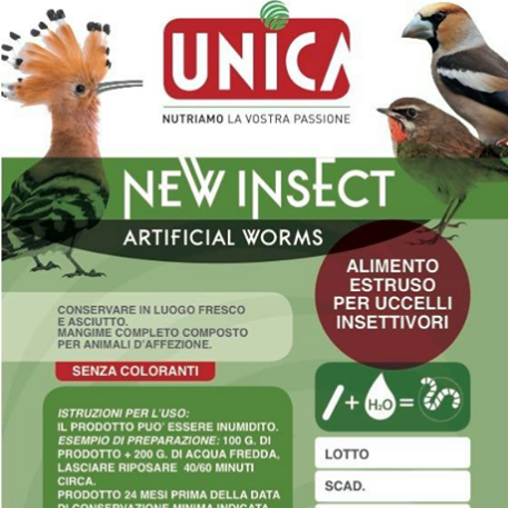 New Insect Worms