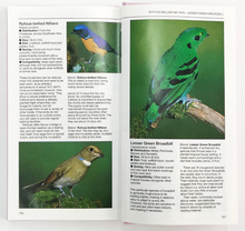 A Birdkeeper's Guide to Softbills