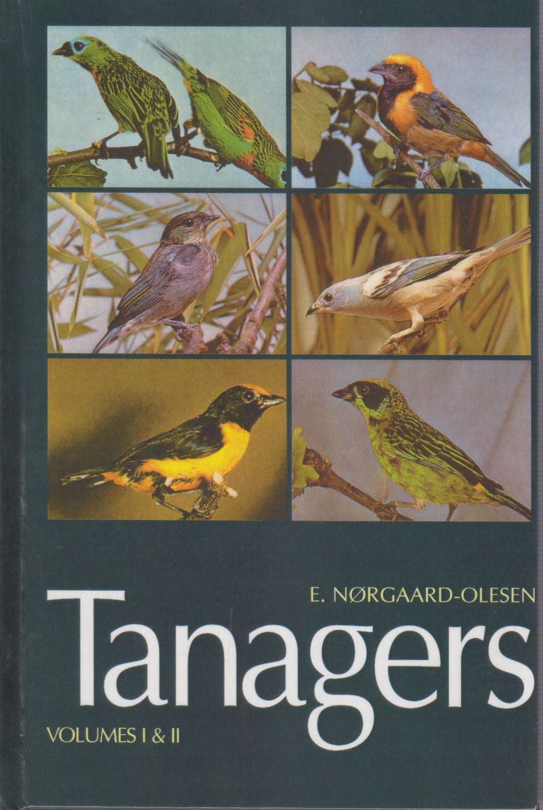 Tanagers